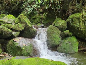 Lotes rurales en Venta en Cordillera Arriba, Chiriquí