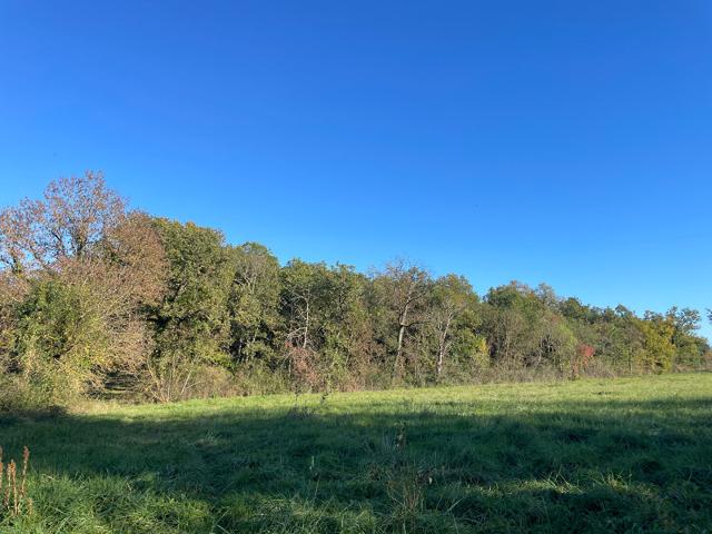 Lotissement Fontenilles 985 m2