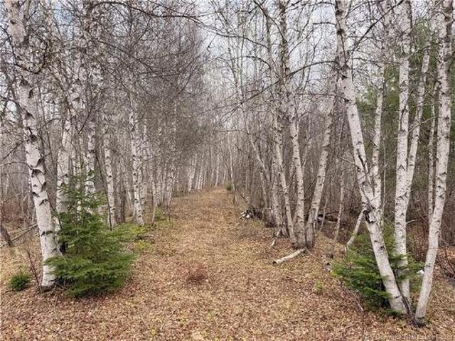 Lots Mclaughlin Road, Pine Ridge, NB, E4W 3S6 vacant land for sale | Listing ID NB139761 | Royal LePage