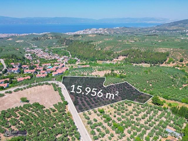 LOTS OFİS MUDANYA AYDINPINAR DENİZ MANZARALI YOLA CEPHE TARLA