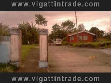 Lots Only for Sale with Ten Percent Less in Price