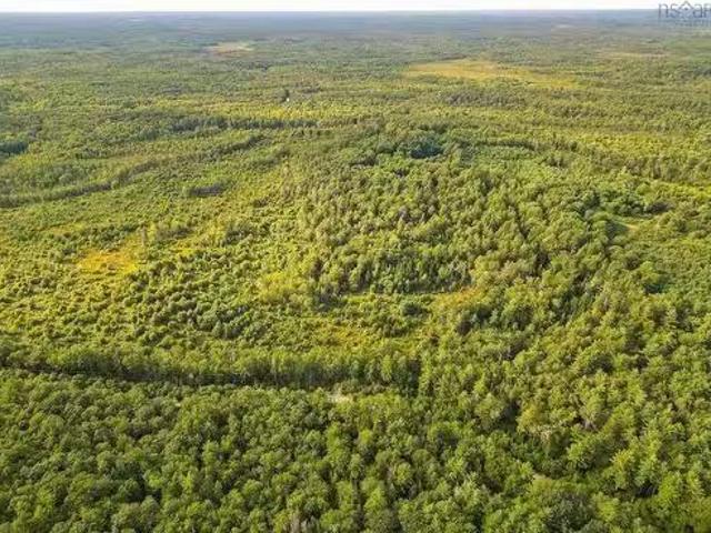 Lots Whites Hill Road, Upper Clyde River, NS, B0T 1W0 vacant.