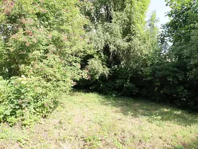 Louveciennes 78430 Achat / Vente terrain
