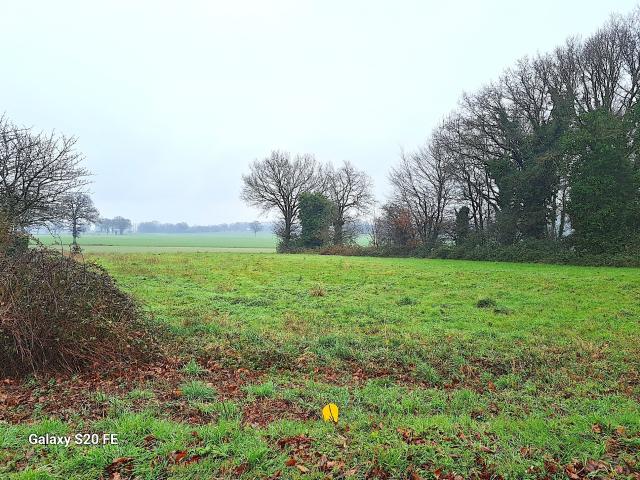 Louvigné de Bais Vente Terrain 35