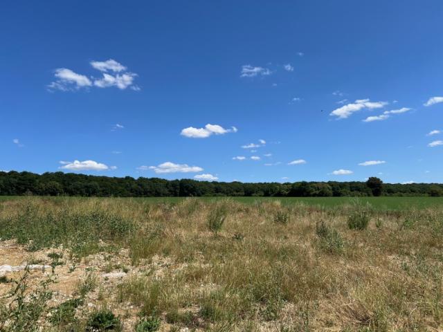 Louvres Vente Terrain 95