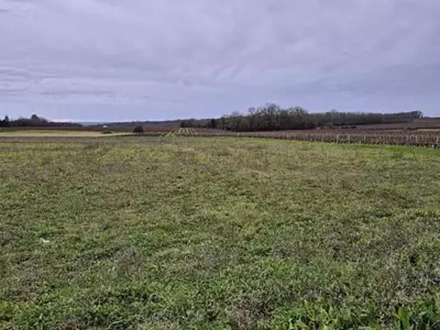 Louzac Saint André 16100 Programme neuf terrain neuf à vendre