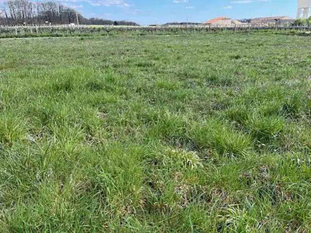 Louzac Saint André 16100 Programme neuf terrain neuf à vendre
