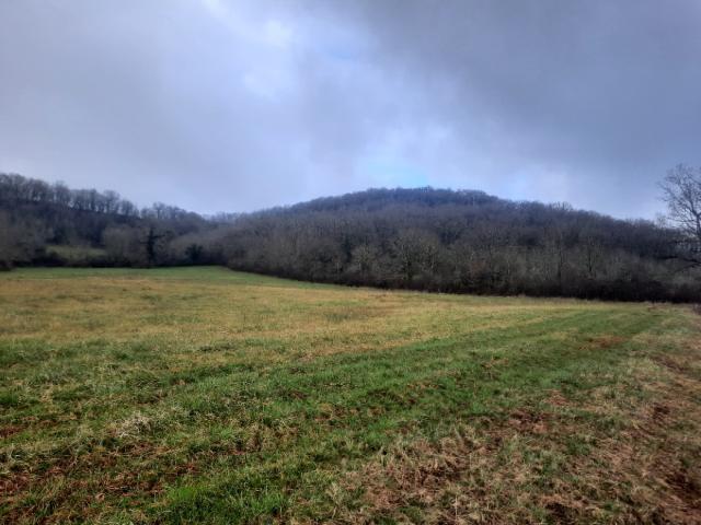 Loubressac Vente Terrain 46