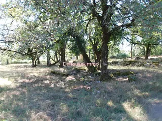 Loubressac 46130 Achat / Vente terrain