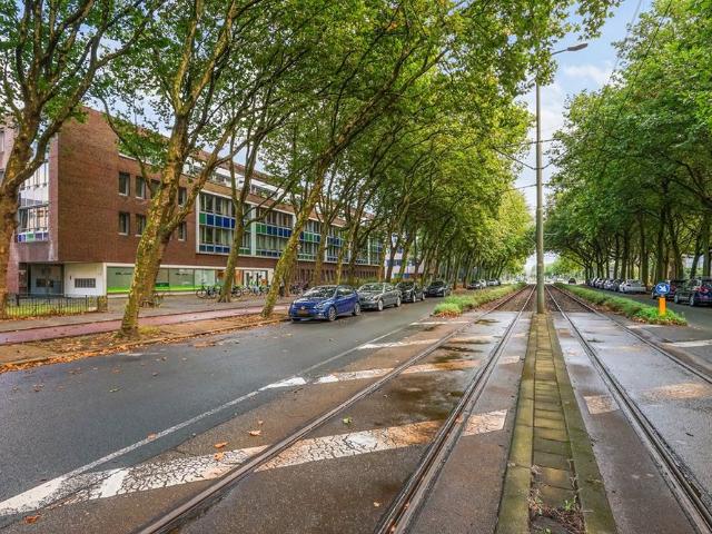 Loudonstraat, 84, 2593WB, Den Haag, Zuid Holland 2593WB