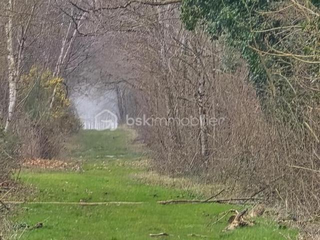 Montreuil Bellay Vente Propriété/château 49