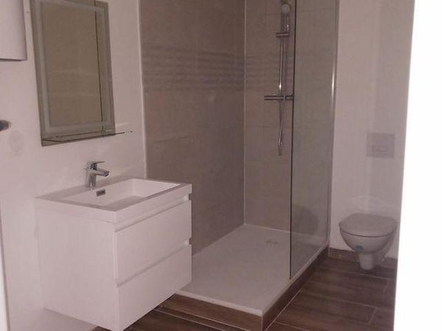 Loue F2 lumineux et refait à neuf de 40m2 environ