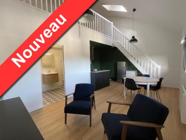 Louer appartement 1 pièce de 49 m²