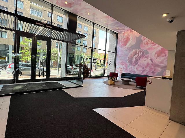 Louer Nouveau /rent New Studio 1 1/2 Griffintown Downtown