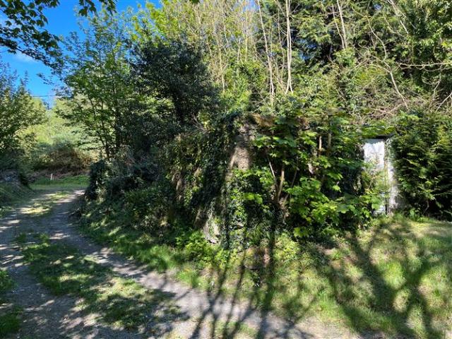 Loughtea, Ballina, Tipperary Harry Brann Auctioneers & Valuers 4789 MyHome. Ie Residential