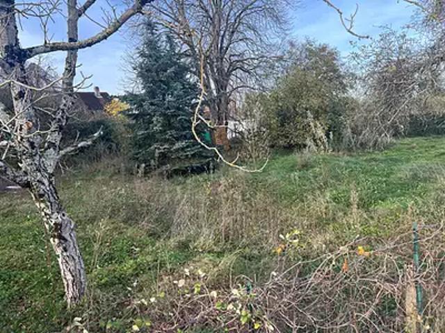 Louhans 71500 Achat / Vente terrain