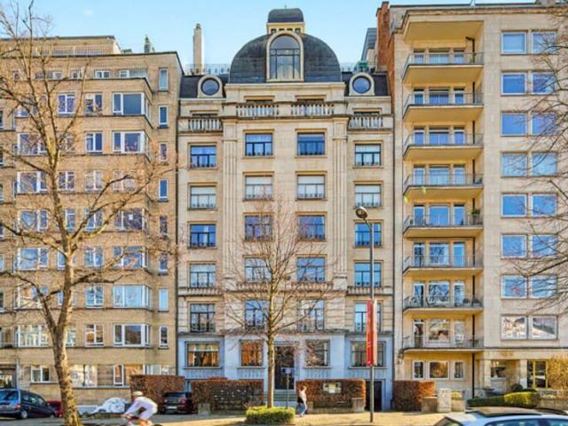 Louise/Roosevelt Ground floor, newly renovated, 1 bd/1 bat