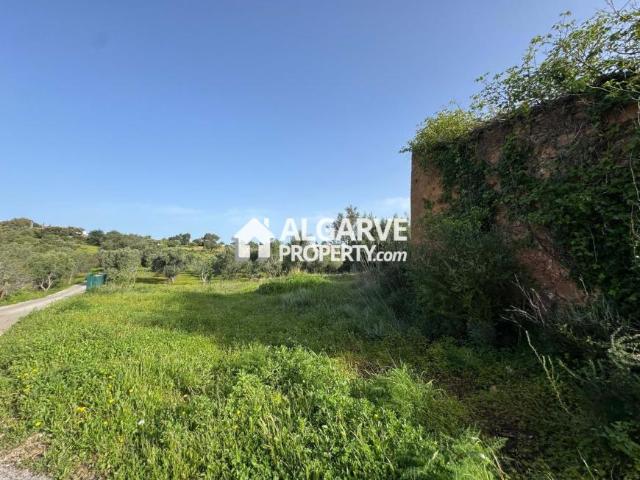 Loulé Algarve LS89521027