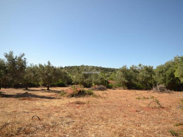 Loulé Algarve LS91959657