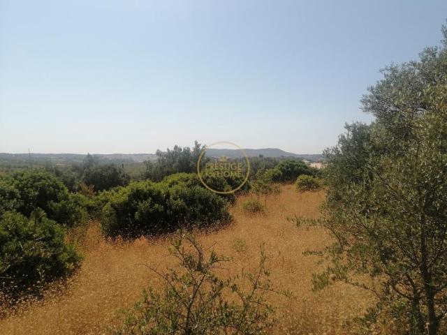 Loulé Algarve LS93084422