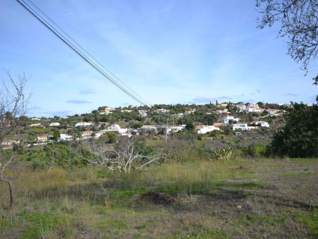 Loulé Algarve LS96435074