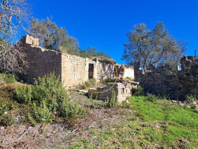 Loulé Algarve LS99726978