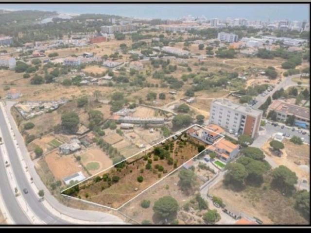 Loulé Algarve 100362451