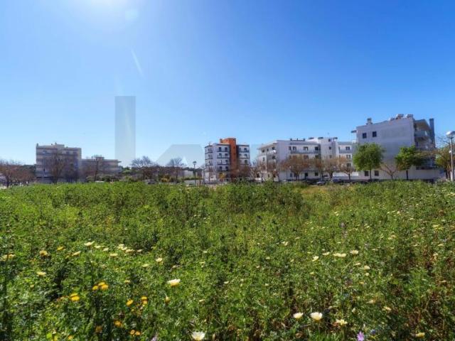 Loulé Algarve 100428307