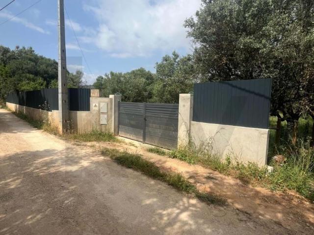 Loulé Algarve 101953553