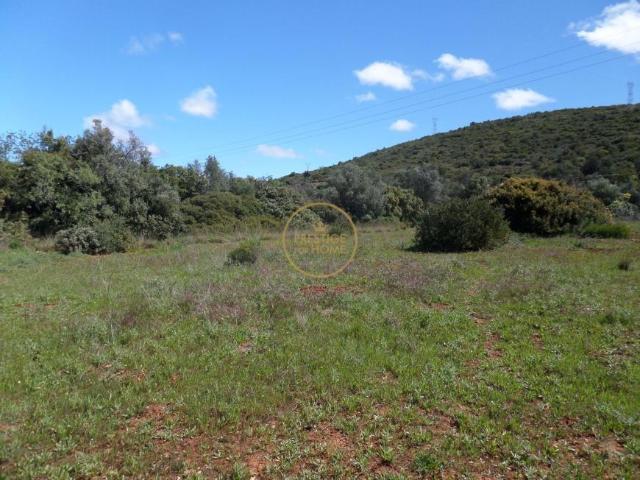 Loulé Algarve 102847674