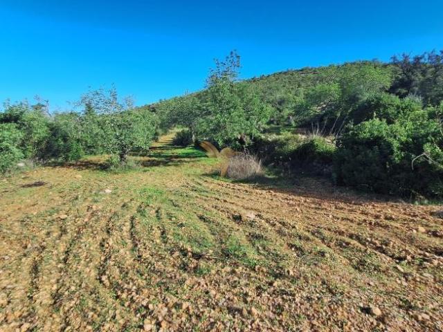 Loulé Algarve 102887753