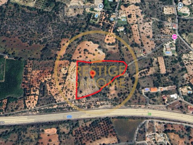 Loulé Algarve 103357741