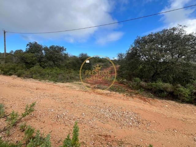 Loulé Algarve 103357712