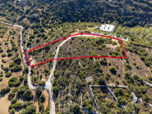 Loulé Algarve 103373906
