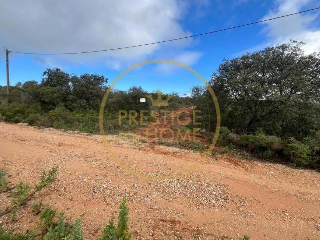 Loulé Algarve 103595156