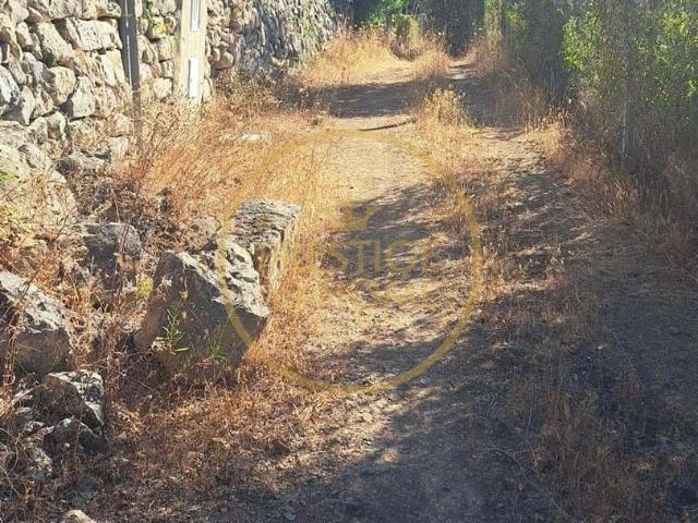 Loulé Algarve 103595160