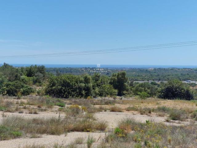 Loulé Algarve 59198758