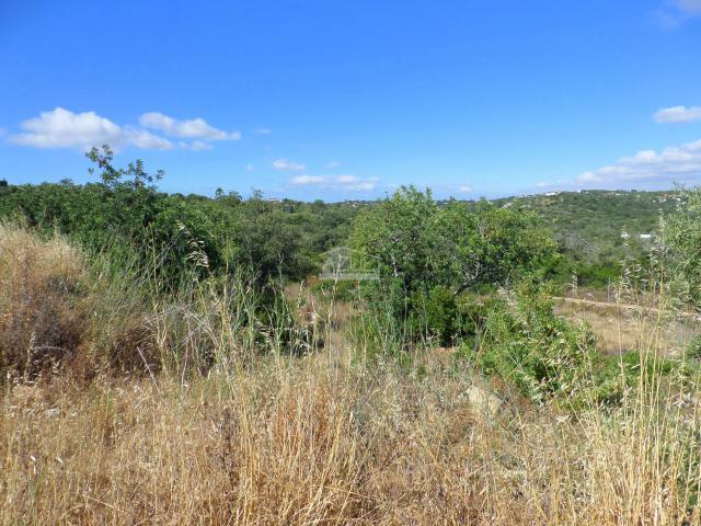 Loulé Algarve 53490059