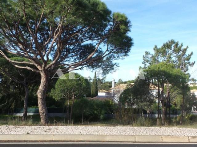 Loulé Algarve 66347356