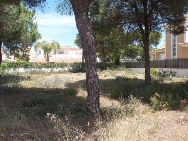 Loulé Algarve 66347371