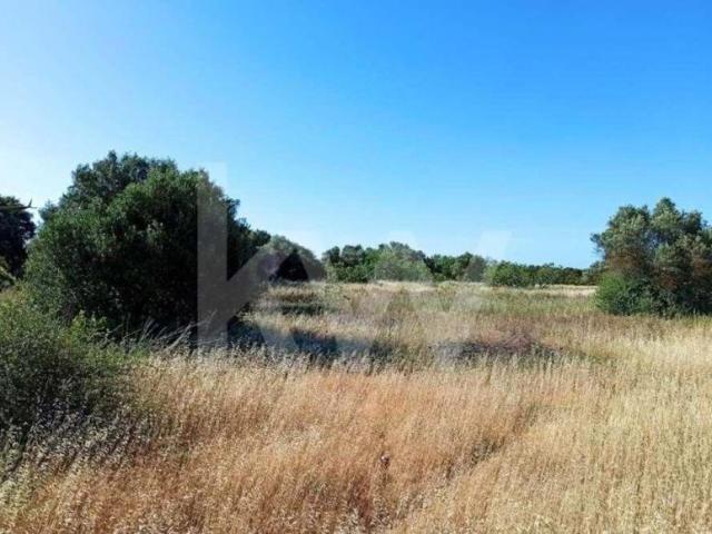 Loulé Algarve 79502662