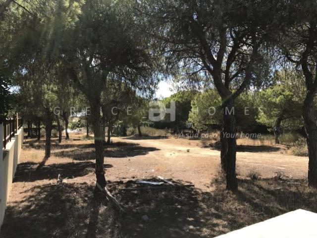 Loulé Algarve 71057214