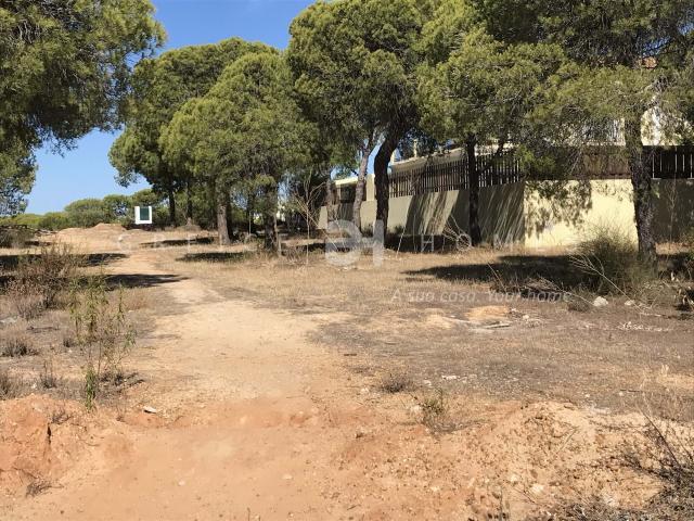 Loulé Algarve 71057217