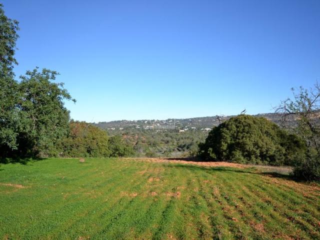 Loulé Algarve 80103421