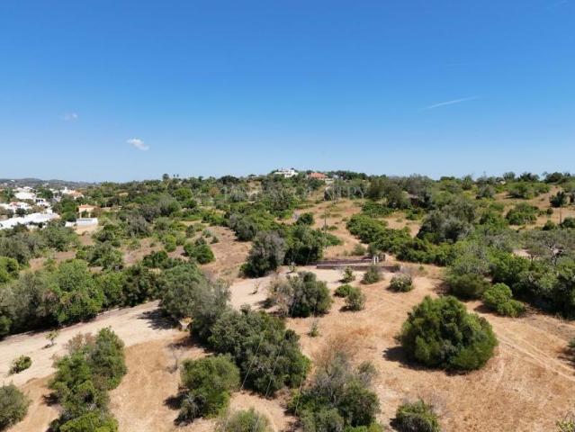 Loulé Algarve 81166617