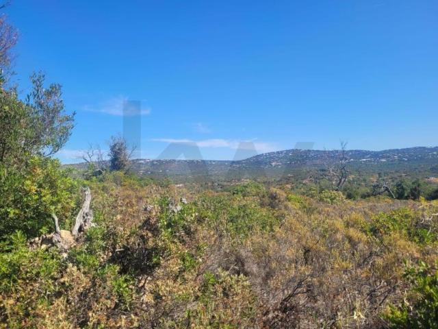 Loulé Algarve 94414233