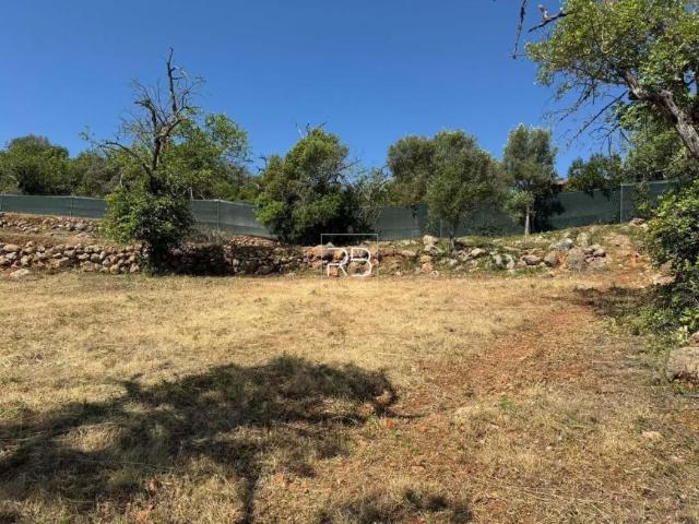 Loulé Algarve 92022031