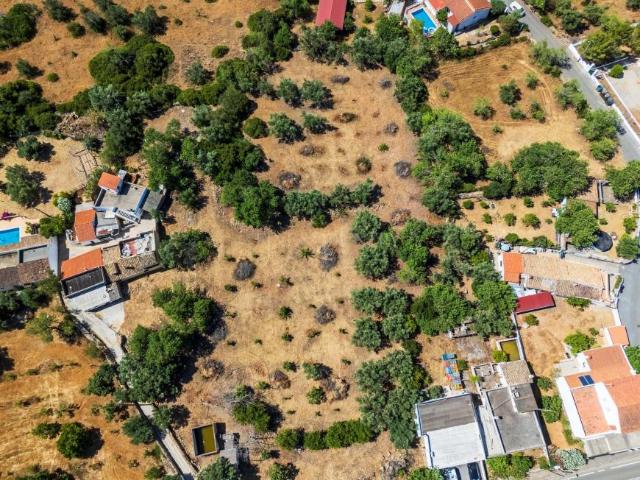 Loulé Algarve 92185503