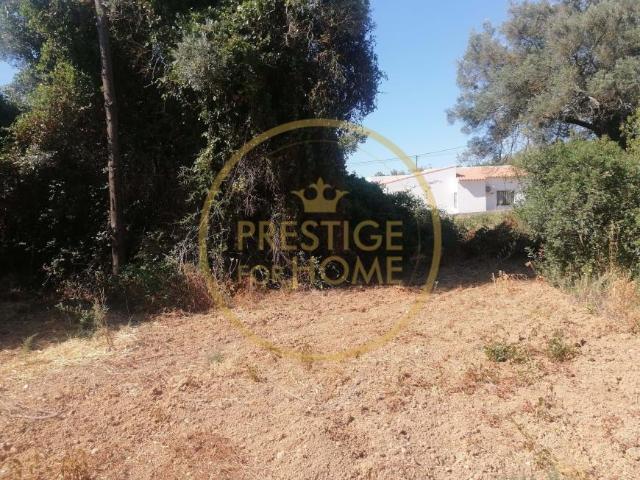 Loulé Algarve 93084419