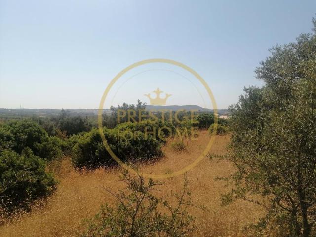 Loulé Algarve 93084422